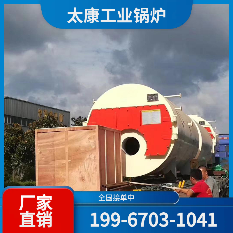 遂宁生物质导热油锅炉